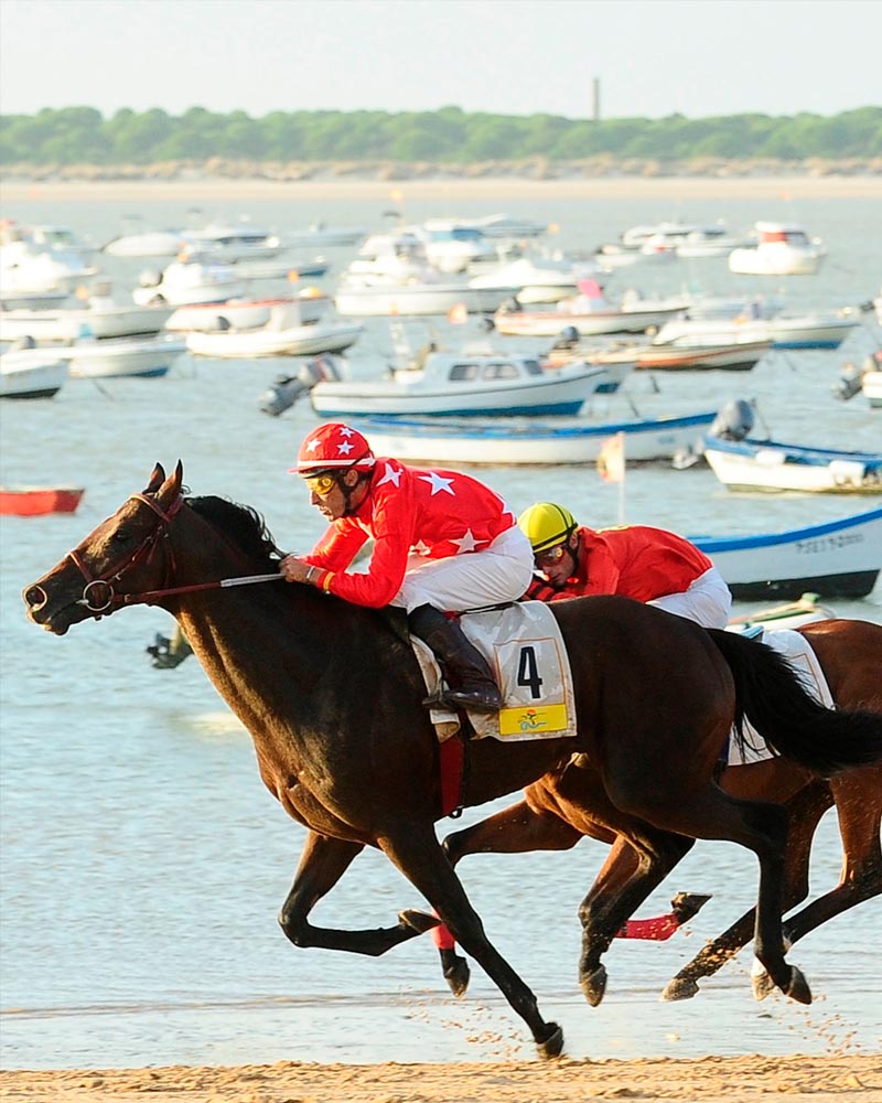 Carreras de caballos de Sanlúcar